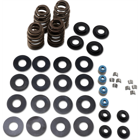 FEULING OIL PUMP CORP. 05-17 B/T ECONO BEE HIVE V/SPRING KIT Front - Driven Powersports