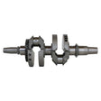 Hot Rods Crankshaft (HR00246) - Driven Powersports