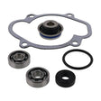 Vertex Water Pump Rebuild Kit (721326) - Driven Powersports