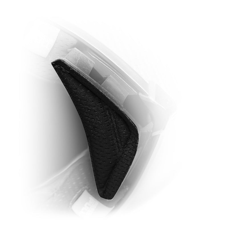 AGV WIND PROTECTOR PISTA GP RR BLACK Black - Driven Powersports