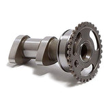 HOT CAMS HOTCAMS ATV/UTV CAM SHAFT (HC00125) - Driven Powersports