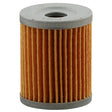 EMGO OIL FILTER (10-55500) - Driven Powersports