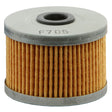 EMGO OIL FILTER (10-99220) - Driven Powersports