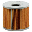 EMGO OIL FILTER (10-29800) - Driven Powersports