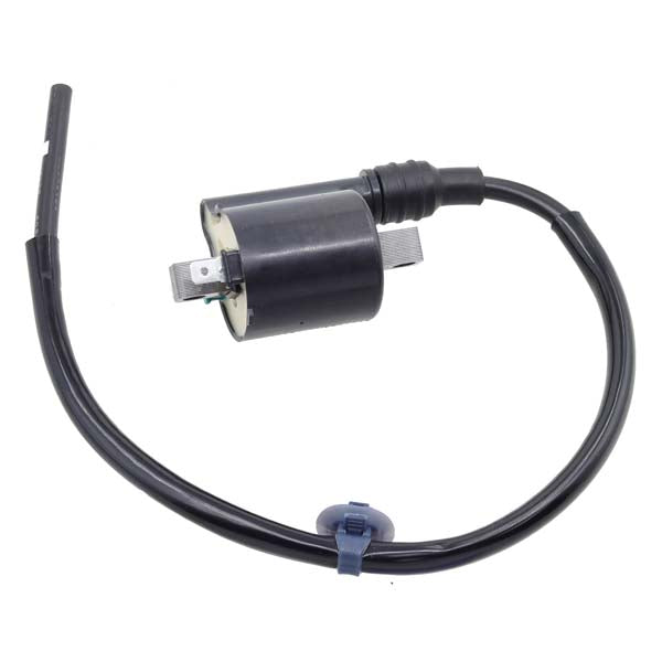 Bronco Ignition Coil (AT-01921) - Driven Powersports