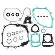 Vertex GASKET SET & OIL SEALS (8110043) - Driven Powersports