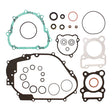 VERTEX GASKET SET & OIL SEALS (8110047) - Driven Powersports