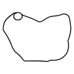 VERTEX IGNITION COVER GASKET (816330) - Driven Powersports