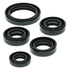 VERTEX ENGINE OIL SEAL KIT (822138) - Driven Powersports