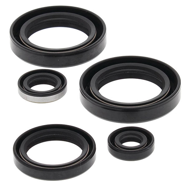 VERTEX ENGINE OIL SEAL KIT (822244) - Driven Powersports