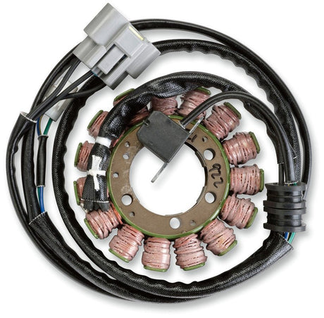 ACCEL 06 - 16 FLT STATOR 50AMP (152115) - DRIVEN Canada's Powersports 743047107980152115