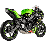 AKRAPOVIC 21 - 24 NINJA 650 RACE FS - DRIVEN Canada's Powersports S - K6R13 - AFCRT/1