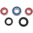 ALL BALLS RACING WHEEL BEARING KIT (25 - 1230) - DRIVEN Canada's Powersports 72398040730925 - 1230