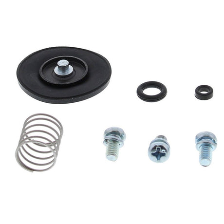 ALL BALLS RACING ACCELERATOR PUMP REBUILD KIT (46 - 3001) - DRIVEN Canada's Powersports 23746300146 - 3001
