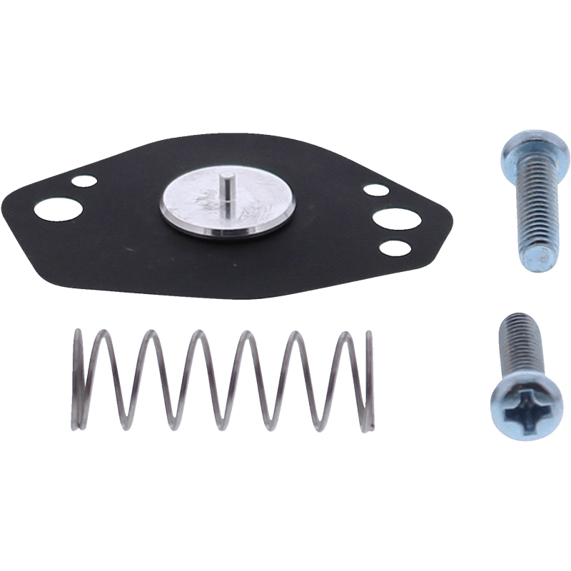 ALL BALLS RACING AIR CUT OFF VALVE REBUILD KIT (46 - 4007) - DRIVEN Canada's Powersports 23746400746 - 4007