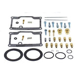 ALL BALLS RACING CARBURETOR REPAIR KIT (26 - 1789) - DRIVEN Canada's Powersports 72398044249226 - 1789