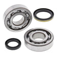ALL BALLS RACING CRANKSHAFT BEARING AND SEAL KIT (24 - 1060) - DRIVEN Canada's Powersports 72398042240124 - 1060