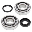 ALL BALLS RACING CRANKSHAFT BEARING AND SEAL KIT (24 - 1107) - DRIVEN Canada's Powersports 72398041174024 - 1107