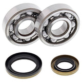 ALL BALLS RACING CRANKSHAFT BEARING AND SEAL KIT (24 - 1110) - DRIVEN Canada's Powersports 72398042245624 - 1110