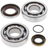 ALL BALLS RACING CRANKSHAFT BEARING AND SEAL KIT (24 - 1112) - DRIVEN Canada's Powersports 72398041184924 - 1112