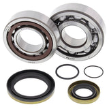 ALL BALLS RACING CRANKSHAFT BEARING AND SEAL KIT (24 - 1115) - DRIVEN Canada's Powersports 72398041421524 - 1115