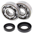 ALL BALLS RACING CRANKSHAFT BEARING AND SEAL KIT (24 - 1002) - DRIVEN Canada's Powersports 23724100224 - 1002