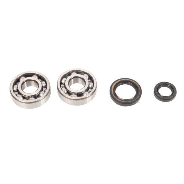 ALL BALLS RACING CRANKSHAFT BEARING AND SEAL KIT (24 - 1003) - DRIVEN Canada's Powersports 23724100324 - 1003