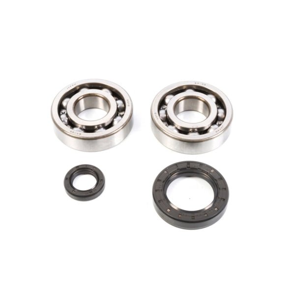 ALL BALLS RACING CRANKSHAFT BEARING AND SEAL KIT (24 - 1004) - DRIVEN Canada's Powersports 23724100424 - 1004