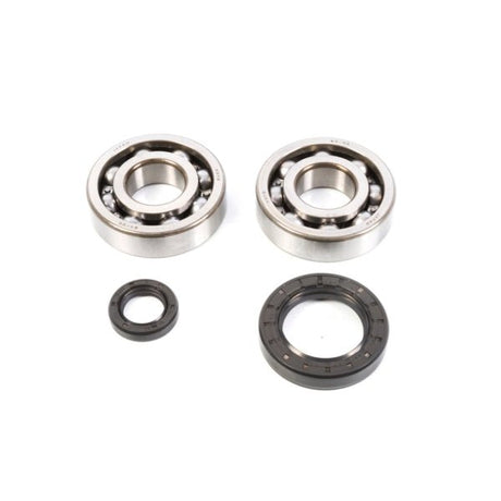 ALL BALLS RACING CRANKSHAFT BEARING AND SEAL KIT (24 - 1004) - DRIVEN Canada's Powersports 23724100424 - 1004