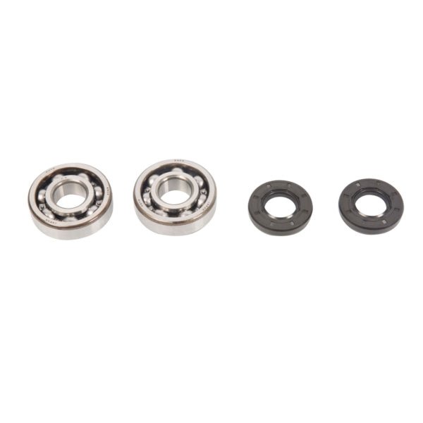 ALL BALLS RACING CRANKSHAFT BEARING AND SEAL KIT (24 - 1006) - DRIVEN Canada's Powersports 23724100624 - 1006