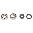 ALL BALLS RACING CRANKSHAFT BEARING AND SEAL KIT (24 - 1008) - DRIVEN Canada's Powersports 72398041393524 - 1008