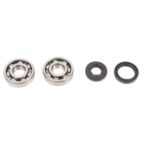 ALL BALLS RACING CRANKSHAFT BEARING AND SEAL KIT (24 - 1008) - DRIVEN Canada's Powersports 72398041393524 - 1008