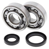 ALL BALLS RACING CRANKSHAFT BEARING AND SEAL KIT (24 - 1016) - DRIVEN Canada's Powersports 72398041396624 - 1016