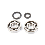 ALL BALLS RACING CRANKSHAFT BEARING AND SEAL KIT (24 - 1016) - DRIVEN Canada's Powersports 72398041396624 - 1016