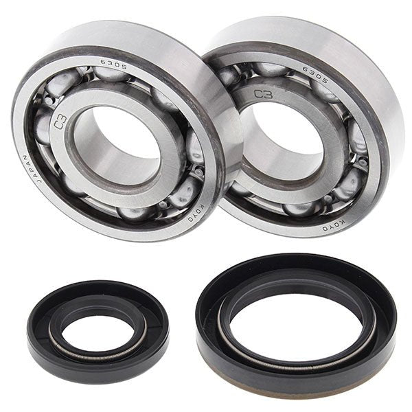ALL BALLS RACING CRANKSHAFT BEARING AND SEAL KIT (24 - 1019) - DRIVEN Canada's Powersports 23724101924 - 1019