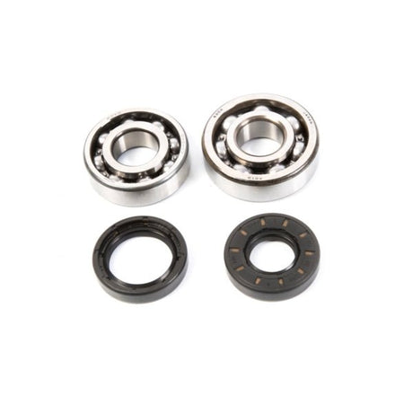 ALL BALLS RACING CRANKSHAFT BEARING AND SEAL KIT (24 - 1023) - DRIVEN Canada's Powersports 23724102324 - 1023