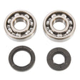 ALL BALLS RACING CRANKSHAFT BEARING AND SEAL KIT (24 - 1025) - DRIVEN Canada's Powersports 72398041399724 - 1025