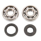 ALL BALLS RACING CRANKSHAFT BEARING AND SEAL KIT (24 - 1025) - DRIVEN Canada's Powersports 72398041399724 - 1025