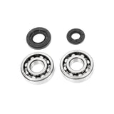 ALL BALLS RACING CRANKSHAFT BEARING AND SEAL KIT (24 - 1029) - DRIVEN Canada's Powersports 23724102924 - 1029