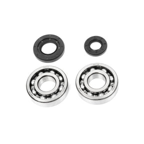ALL BALLS RACING CRANKSHAFT BEARING AND SEAL KIT (24 - 1029) - DRIVEN Canada's Powersports 23724102924 - 1029