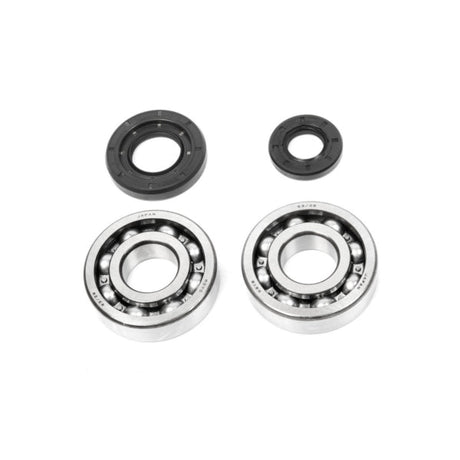 ALL BALLS RACING CRANKSHAFT BEARING AND SEAL KIT (24 - 1029) - DRIVEN Canada's Powersports 23724102924 - 1029
