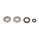ALL BALLS RACING CRANKSHAFT BEARING AND SEAL KIT (24 - 1030) - DRIVEN Canada's Powersports 72398041402424 - 1030