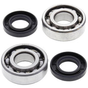 ALL BALLS RACING CRANKSHAFT BEARING AND SEAL KIT (24 - 1035) - DRIVEN Canada's Powersports 23724103524 - 1035