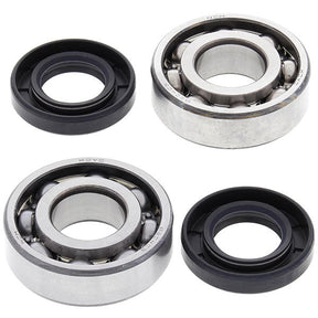 ALL BALLS RACING CRANKSHAFT BEARING AND SEAL KIT (24 - 1035) - DRIVEN Canada's Powersports 23724103524 - 1035