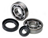 ALL BALLS RACING CRANKSHAFT BEARING AND SEAL KIT (24 - 1061) - DRIVEN Canada's Powersports 72398041168924 - 1061