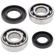 ALL BALLS RACING CRANKSHAFT BEARING AND SEAL KIT (24 - 1068) - DRIVEN Canada's Powersports 72398041175724 - 1068