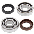 ALL BALLS RACING CRANKSHAFT BEARING AND SEAL KIT (24 - 1072) - DRIVEN Canada's Powersports 72398041162724 - 1072