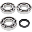 ALL BALLS RACING CRANKSHAFT BEARING AND SEAL KIT (24 - 1076) - DRIVEN Canada's Powersports 72398040499524 - 1076