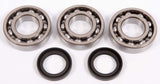 ALL BALLS RACING CRANKSHAFT BEARING AND SEAL KIT (24 - 1077) - DRIVEN Canada's Powersports 23724107724 - 1077