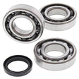 ALL BALLS RACING CRANKSHAFT BEARING AND SEAL KIT (24 - 1090) - DRIVEN Canada's Powersports 72398041415424 - 1090